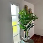 Maria * Ponta do Sol (Madeira)