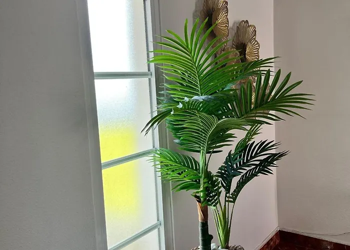 Maria * Ponta do Sol (Madeira)